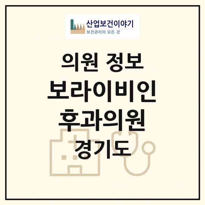 2026 보라이비인후과의원 (남양주시 호평동)|의원|요양기관 정보