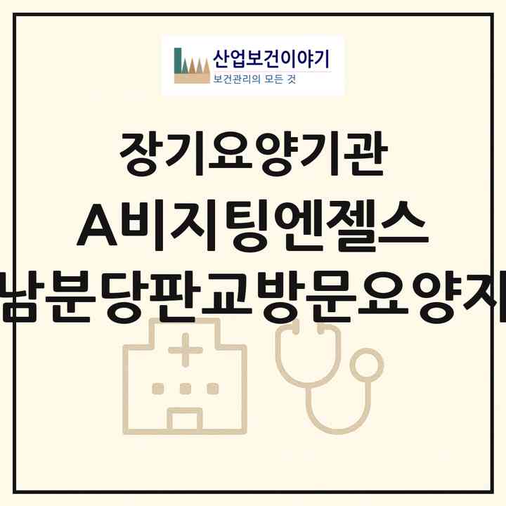 2026 (A)비지팅엔젤스 성남분당판교방문요양지점(성남시 분당구 판교동)|재가노인복지시설(방문목욕·방문요양)|주소·인력·정원·평가 정보