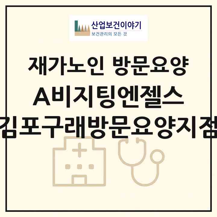 2026 (A)비지팅엔젤스 김포구래방문요양지점(김포시 구래동)|재가노인복지시설 방문요양|주소·인력·정원·평가 정보