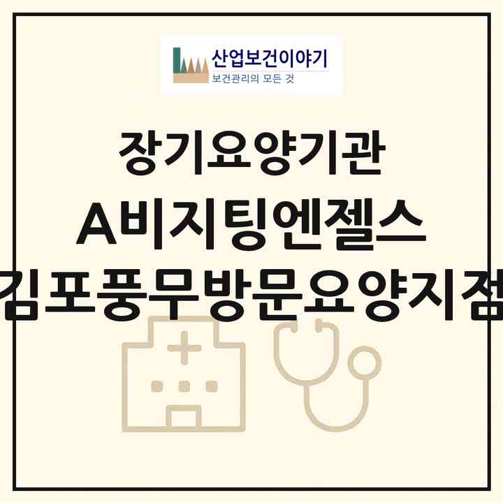 2026 (A)비지팅엔젤스 김포풍무방문요양지점(김포시 풍무동)|재가노인복지시설(방문목욕·방문요양)|주소·인력·정원·평가 정보